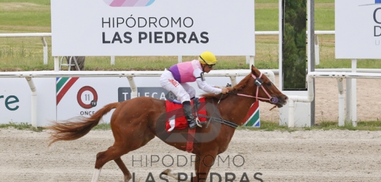 Sábado 16 de noviembre de 2019 - Hipódromo Las Piedras