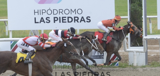 Viernes 22 de noviembre de 2019 - Hipódromo Las Piedras