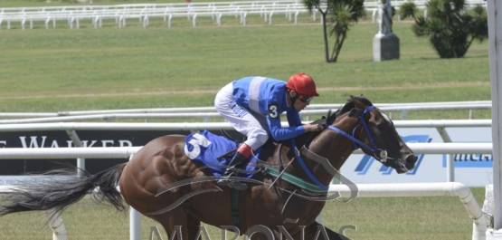 Sábado 23 de noviembre de 2019 - Hipódromo Nacional de Maroñas