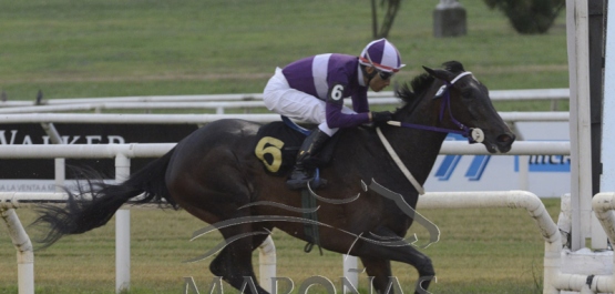 Viernes 29 de noviembre de 2019 - Hipódromo Nacional de Maroñas