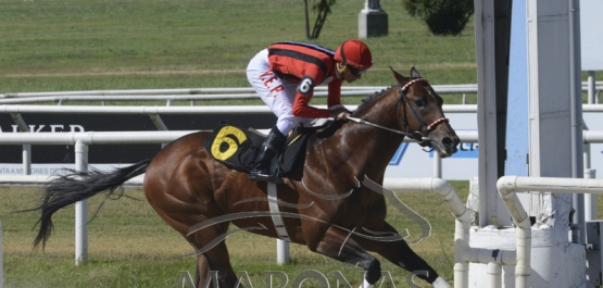 Domingo 1º de diciembre de 2019 - Hipódromo Nacional de Maroñas