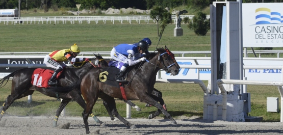 GRAN PREMIO ESTÍMULO