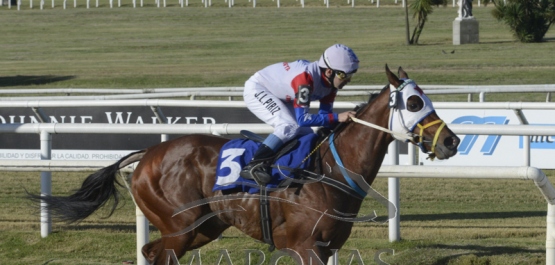 Viernes 6 de diciembre de 2019 - Hipódromo Nacional de Maroñas