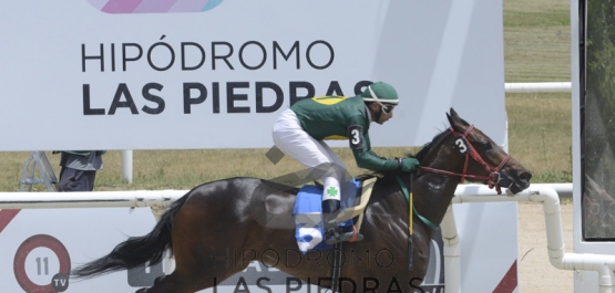 Sábado 7 de diciembre de 2019 - Hipódromo Nacional de Maroñas