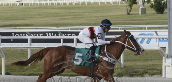 Viernes 13 de diciembre de 2019 - Hipódromo Nacional de Maroñas