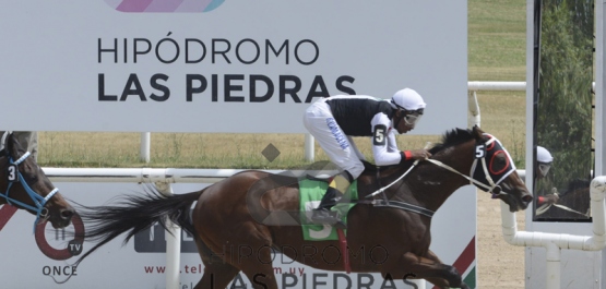 Sábado 14 de diciembre de 2019 - Hipódromo Las Piedras