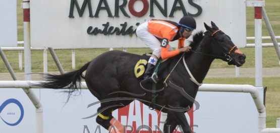 Domingo 15 de diciembre de 2019 - Hipódromo Nacional de Maroñas