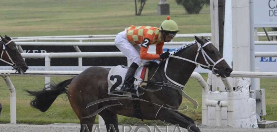 Viernes 20 de diciembre de 2019 - Hipódromo Nacional de Maroñas