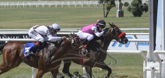 Domingo 22 de diciembre de 2019 - Hipódromo Nacional de Maroñas