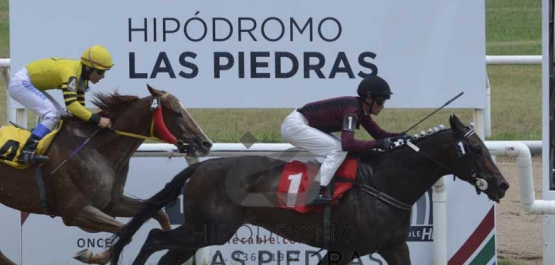 Sábado 28 de diciembre de 2019 - Hipódromo Las Piedras