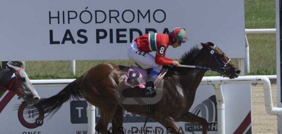 Domingo 5 de enero de 2020 - Hipódromo Las Piedras