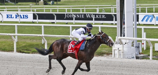 GRAN PREMIO PEDRO PIÑEYRÚA URU G1