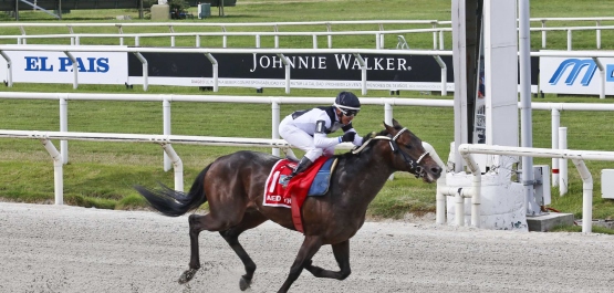 GRAN PREMIO PEDRO PIÑEYRÚA URU G1