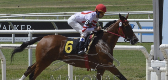 Domingo 12 de enero de 2020 - Hipódromo Nacional de Maroñas