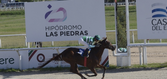 GRAN PREMIO POLLA DE POTRILLOS