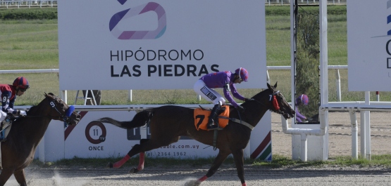 GRAN PREMIO POLLA DE POTRANCAS