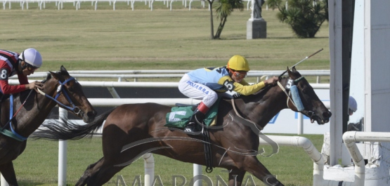 Viernes 24 de enero de 2020 - Hipódromo Nacional de Maroñas