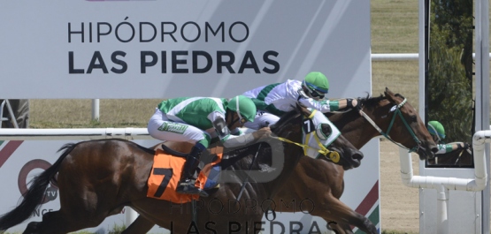 Sábado 1º de febrero de 2020 - Hipódromo Las Piedras
