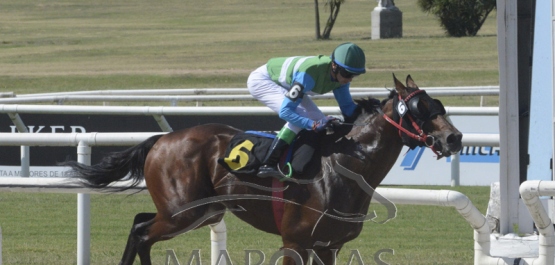 Domingo 2 de febrero de 2020 - Hipódromo Nacional de Maroñas