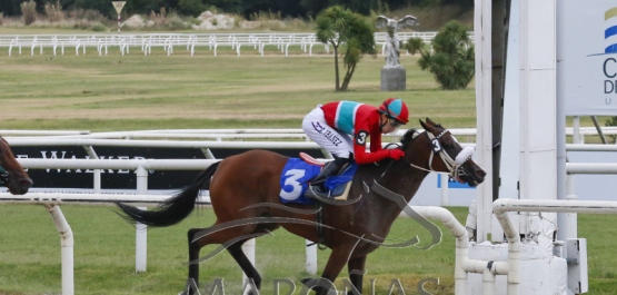 Viernes 7 de febrero de 2020 - Hipódromo Nacional de Maroñas