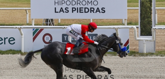 Sábado 8 de febrero de 2020 - Hipódromo Las Piedras