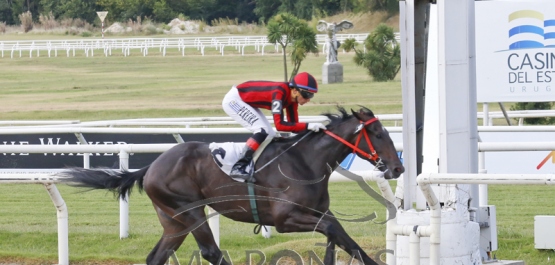 Domingo 9 de febrero de 2020 - Hipódromo Nacional de Maroñas