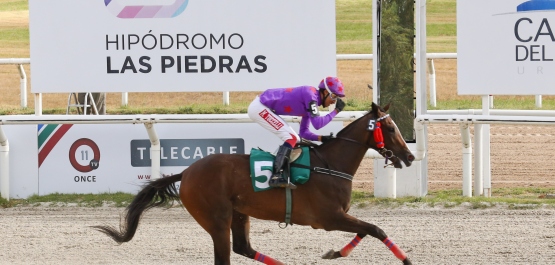 GRAN PREMIO SELECCIÓN