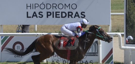 Sábado 15 de febrero de 2020 - Hipódromo Las Piedras