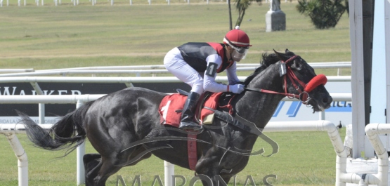 Domingo 16 de febrero de 2020 - Hipódromo Nacional de Maroñas