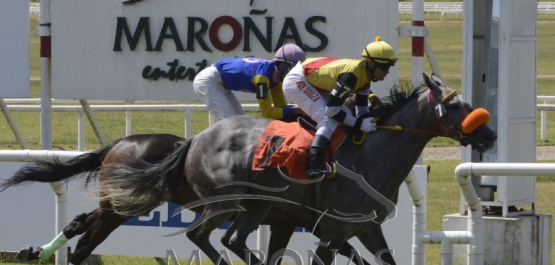 Domingo 23 de febrero de 2020 - Hipódromo Nacional de Maroñas