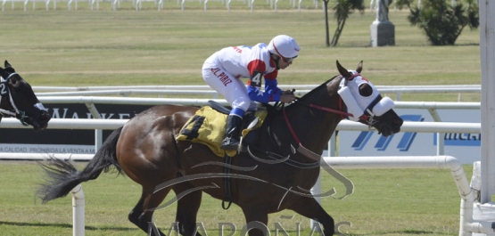 Sábado 29 de febrero de 2020 - Hipódromo Nacional de Maroñas