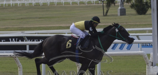 Domingo 8 de marzo de 2020 - Hipódromo Nacional de Maroñas