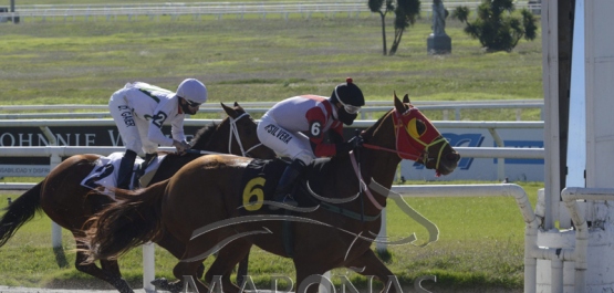 Sábado 16 de Mayo de 2020 - Hipódromo Nacional de Maroñas