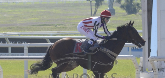 Domingo 17 de mayo de 2020 - Hipódromo Nacional de Maroñas