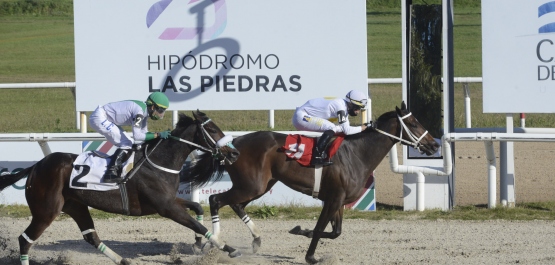GRAN PREMIO OSAF