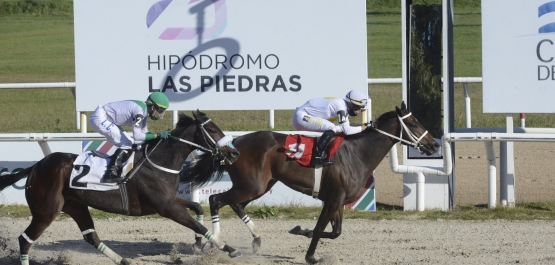 GRAN PREMIO OSAF