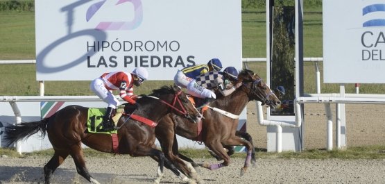 GRAN PREMIO UBALDO SERÉ