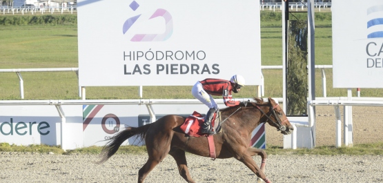 GRAN PREMIO BATALLA DE LAS PIEDRAS