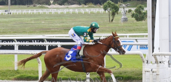 Viernes 22 de mayo de 2020 - Hipódromo Nacional de Maroñas