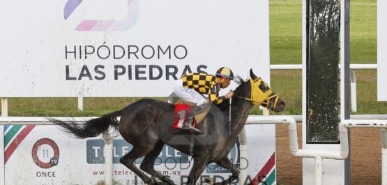 Sábado 23 de mayo de 2020 - Hipódromo Las Piedras