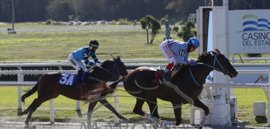 Domingo 24 de mayo de 2020 - Hipódromo Nacional de Maroñas