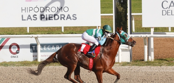 GRAN PREMIO NACIONAL