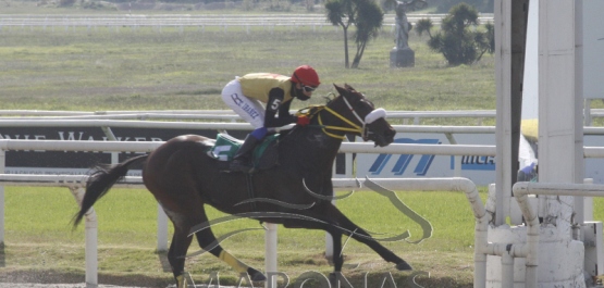 Viernes 29 de mayo de 2020 - Hipódromo Nacional de Maroñas