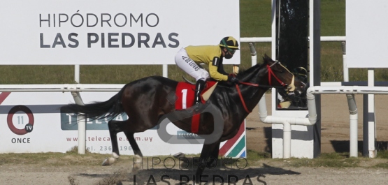 Sábado 30 de mayo de 2020 - Hipódromo Las Piedras