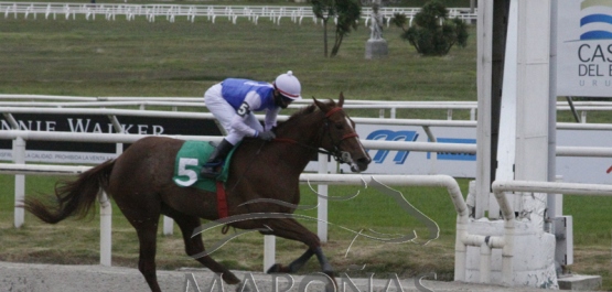 Domingo 31 de mayo de 2020 - Hipódromo Nacional de Maroñas