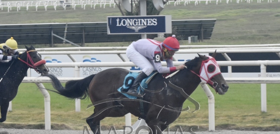 Viernes 5 de junio de 2020 - Hipódromo Nacional de Maroñas