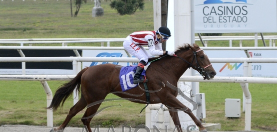 Viernes 12 de junio de 2020 - Hipódromo Nacional de Maroñas