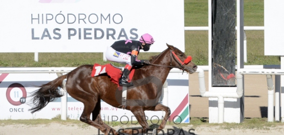 Sábado 13 de junio de 2020 - Hipódromo Las Piedras