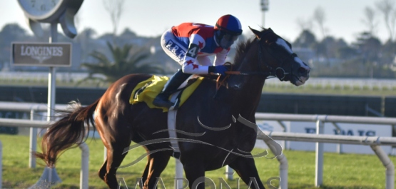 Domingo 14 de junio de 2020 - Hipódromo Nacional de Maroñas