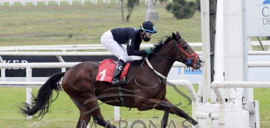 Viernes 19 de junio de 2020 - Hipódromo Nacional de Maroñas